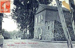Cassaigne 601